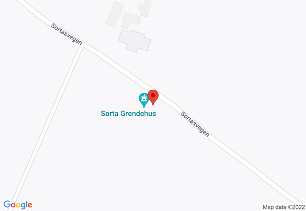 Statisk billede af google maps